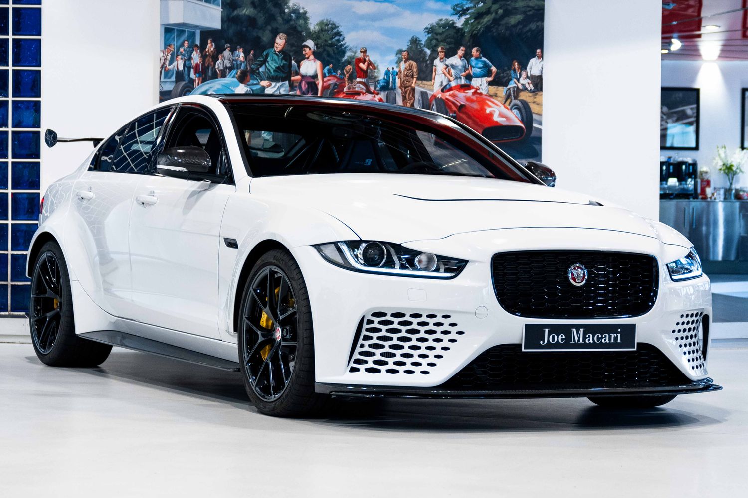 Jaguar Project 8