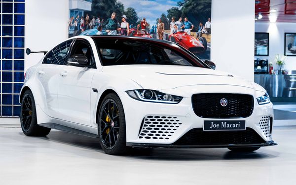 Jaguar Project 8